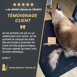 BROSSE PILPOIL® : LA SOLUTION ULTIME CONTRE LES POILS D'ANIMAUX