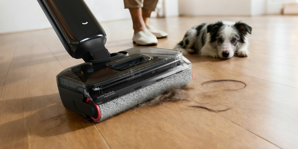 Quel aspirateur choisir pour les poils d’animaux ? Les critères qui comptent vraiment