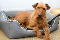 Chien installé dans un couchage textile propre, sans accessoire visible, pour illustrer le lavage des couvertures d’animaux