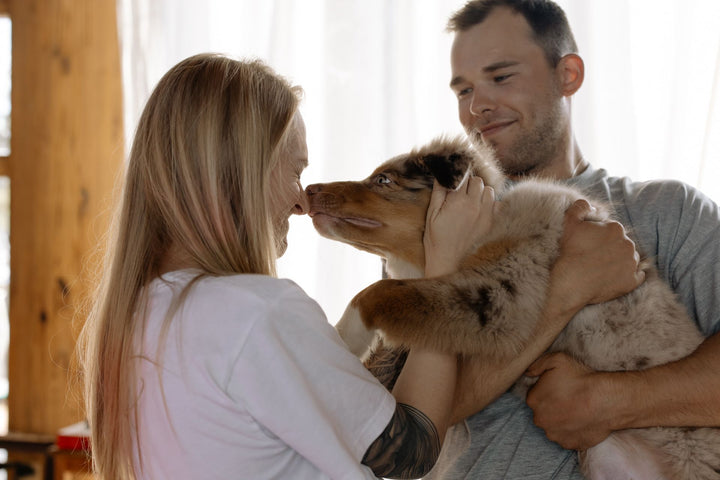 Couple partageant un moment affectueux avec un chien à la maison, sans brosse visible, pour illustrer une adoption réfléchie