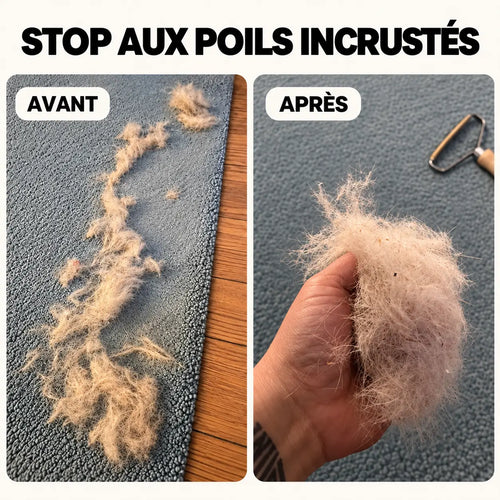 Brosse en T anti-poils PILPOIL® – Tapis, voiture et arbre à chat, manche en hêtre