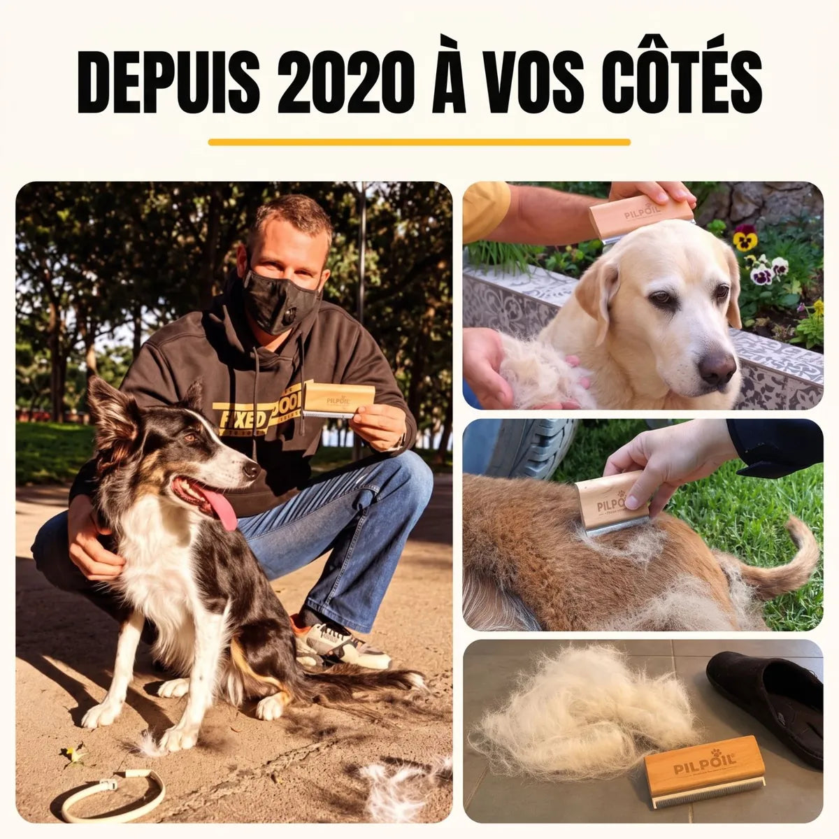 Brosse Pilpoil utilisée sur des chiens depuis 2020, avec les poils retirés