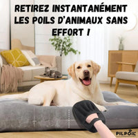 Gant Magique Pilpoil – Nouveauté 2025