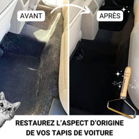 Brosse Anti-Poils & Peluches PILPOIL