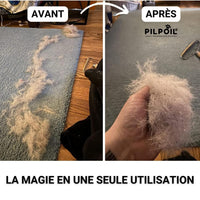 Brosse Anti-Poils & Peluches PILPOIL