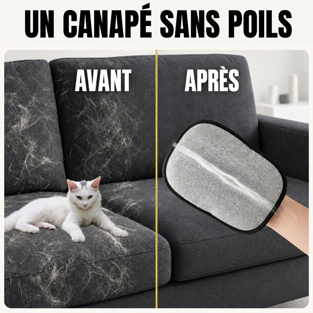 Canapé avant et après le passage du gant anti-poils PILPOIL