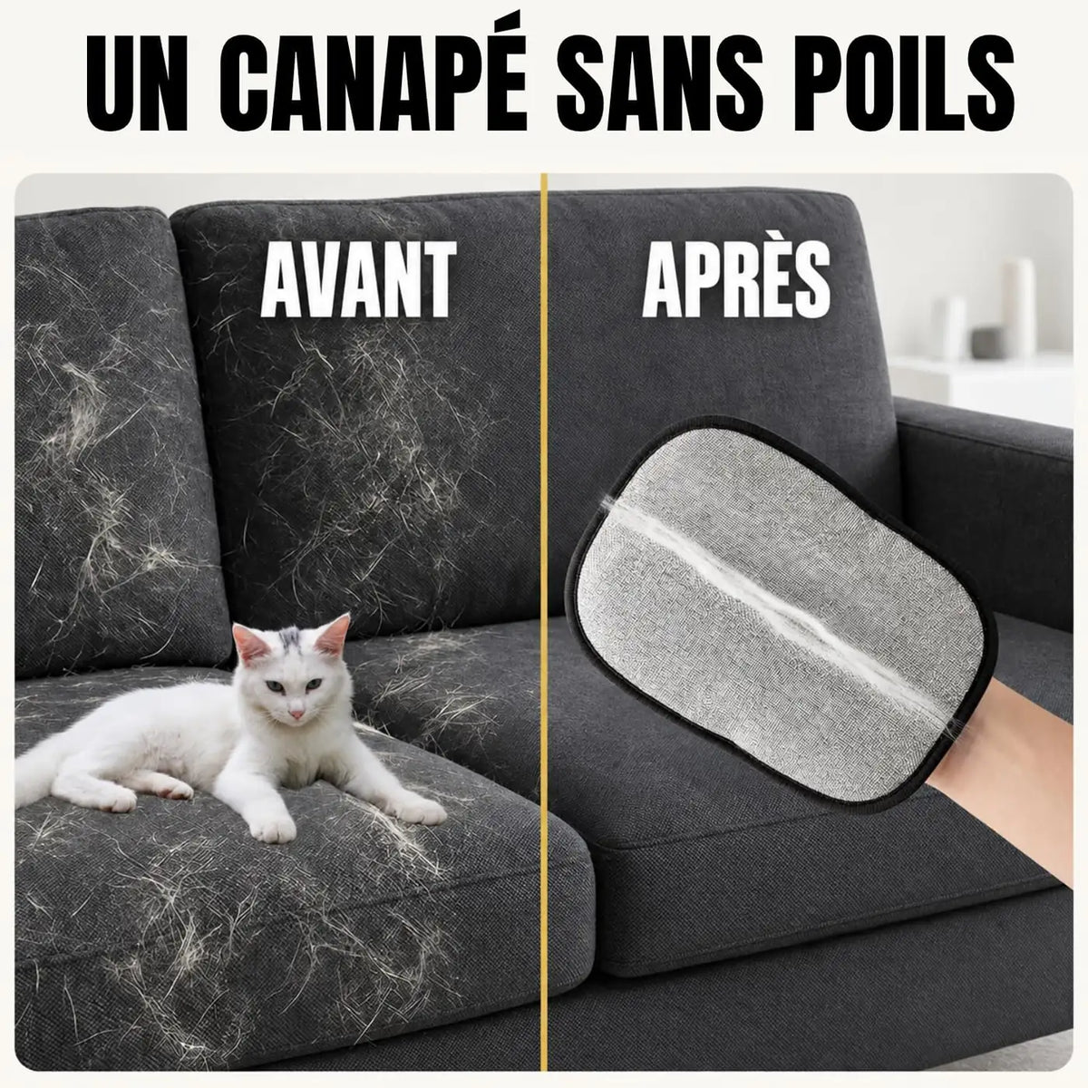 Canapé avant et après le passage du gant anti-poils PILPOIL