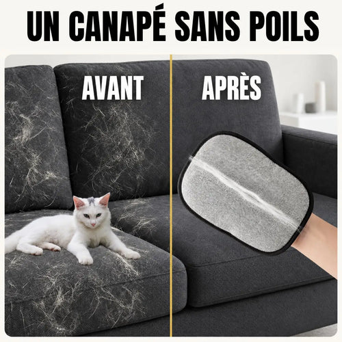 Canapé avant et après le passage du gant anti-poils PILPOIL