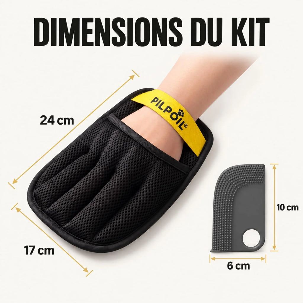 Dimensions du gant PILPOIL (24 × 17 cm) et de la raclette (10 × 6 cm)