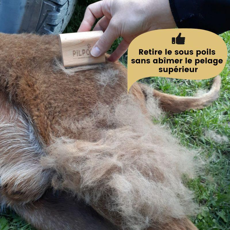 Brosse anti-mue PILPOIL® pour pelage de chien et chat