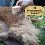 Brosse anti-mue PILPOIL® pour pelage de chien et chat
