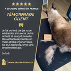 Brossage du sous-poil avec la Brosse originale PILPOIL®
