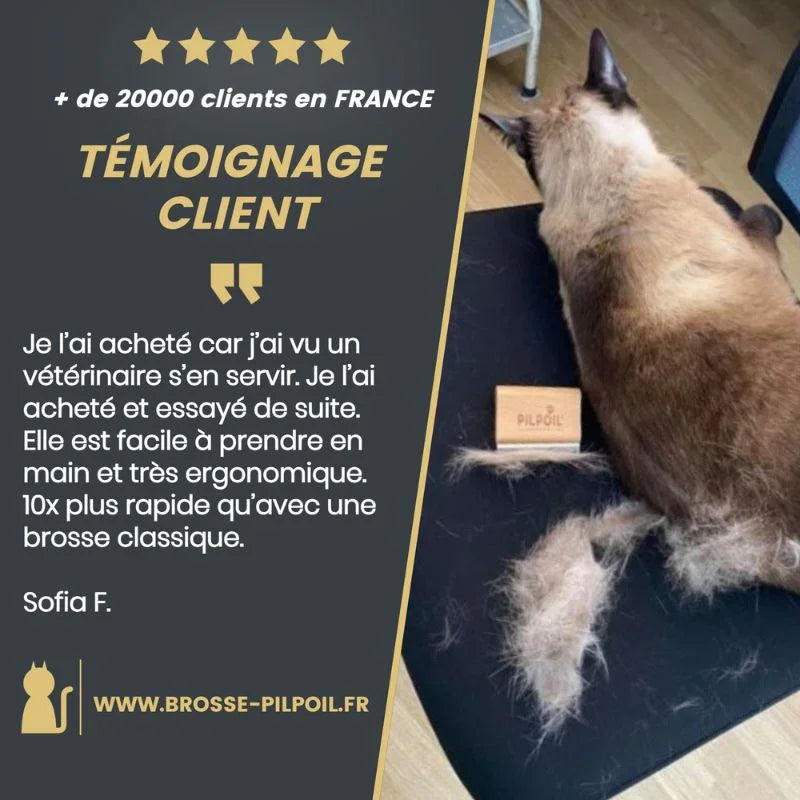 Brossage du sous-poil avec la Brosse originale PILPOIL®