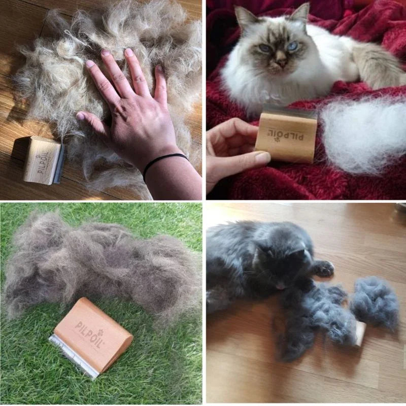 Brosse PILPOIL® pour chat et animaux à sous-poil