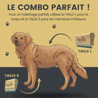 BROSSE PILPOIL® : LA SOLUTION ULTIME CONTRE LES POILS D'ANIMAUX