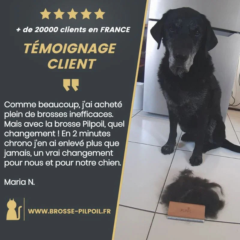 Brosse en bois PILPOIL® pour poils morts d’animaux