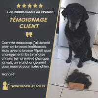 BROSSE PILPOIL® : LA SOLUTION ULTIME CONTRE LES POILS D'ANIMAUX